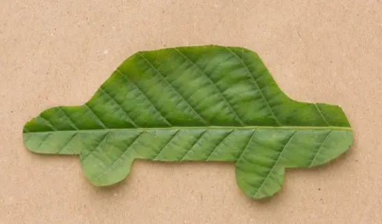 ¿Qué es el sello verde en vehículos? ¿Cómo saber si el tuyo lo tiene?